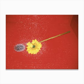 Sunflower Pop Art Red Shower Vintage Abstract Film Photography Wall Art Print Canvas Print
