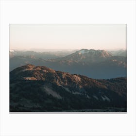 Vast Forest Scenery Canvas Print