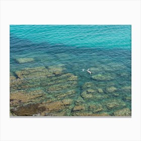 Swimming in clear, turquoise blue sea water Canvas Print