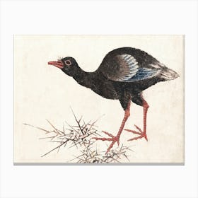 Bird, From Album Of Sketches (1814), Katsushika Hokusai Canvas Print