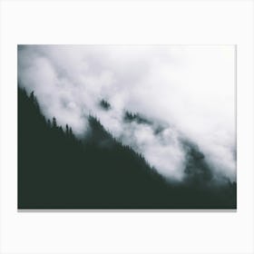 Forest Fog II Canvas Print