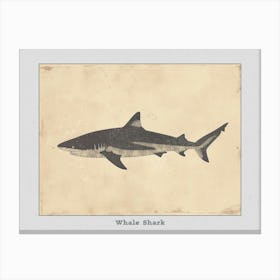 Whale Shark Grey Silhouette 4 Poster Canvas Print