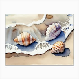 Seashells on the beach, watercolor painting 29 Canvas Print