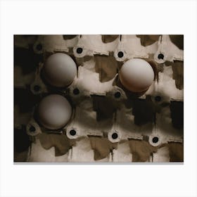 Eggs In A Carton 14 Canvas Print