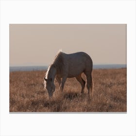 Wild Horse Scenery Canvas Print