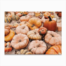 Pumpkin Farm Canvas Print