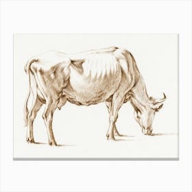 Grazing Cow, Jean Bernard Canvas Print