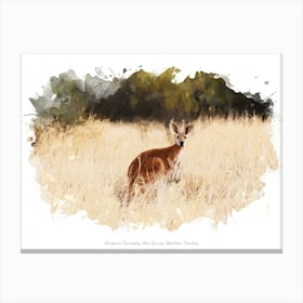 Kangaroo Sanctuary, Alice Springs, Northern Territory Canvas Print