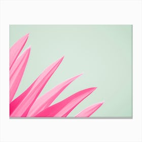 Pink Flower Leaves Canvas Print
