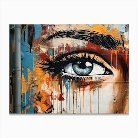 Eye Of A Woman Canvas Print