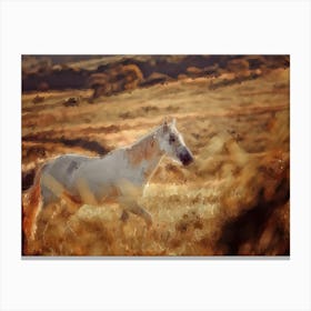 Horse Running Through Field Canvas Print