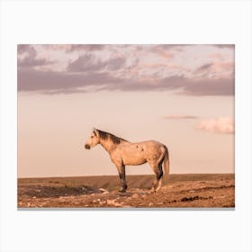 Pastel Wild Horse Scenery Canvas Print