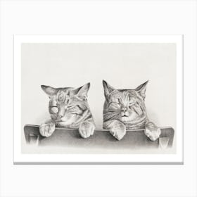 Vintage Cats, Thomas Hunter Canvas Print