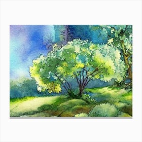 Watercolor Of Trees 1 Canvas Print