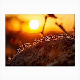 Ant Colony Cooperating Harmoniously Silhouetted Against A Radiant Sunset Amber And Crimson Hues Me (2) 2 Canvas Print