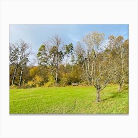 Field With Trees 8 Canvas Print