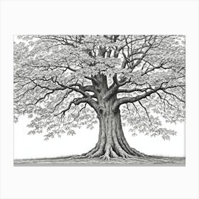 maple tree pencil sketch ultra detailed 8 Canvas Print