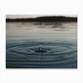 Water Drop Canvas Print