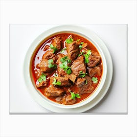 Beef Stew In A Bowl Canvas Print