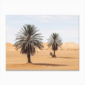 Desert Palms Canvas Print