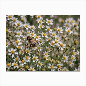 Bee on White Flowers Canvas Print
