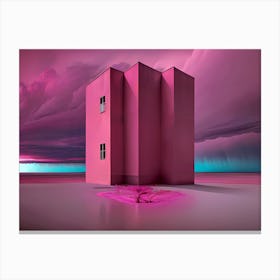 Pink House Canvas Print