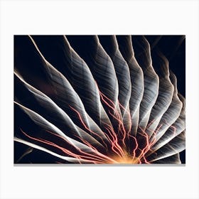 Firework Canvas Print