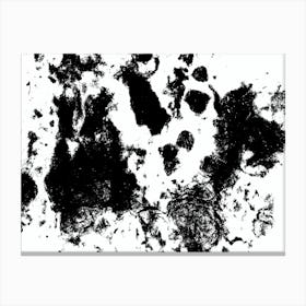 Black And White Abstract Painting Canvas Print