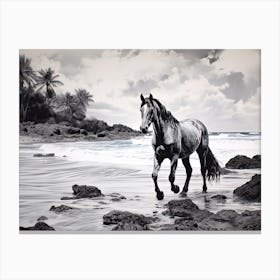 A Horse Oil Painting In Punalu U Beach Hawaii, Usa, Landscape 2 Canvas Print