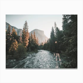Yosemite Forest Creek Canvas Print