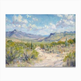 Western Landscapes Chihuahuan Desert Texas 4 Canvas Print