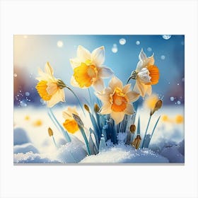 Daffodils In The Snow Canvas Print