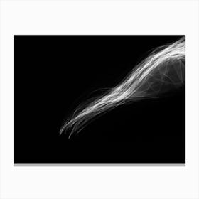 Glowing Abstract Curved Black And White Lines 12 Canvas Print