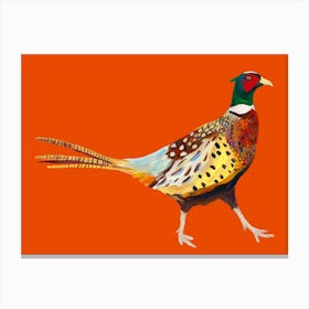 Pheasant on Orange Canvas Print