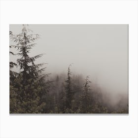 Rustic Foggy Forest Canvas Print