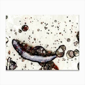 Splatter Painting Canvas Print