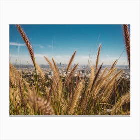 Mulholland View Ii Canvas Print