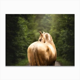 Golden beauty - Ardennes Belgian horse photo print - moody animal photography art Canvas Print