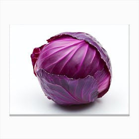 Red Cabbage (7) Canvas Print