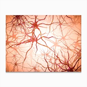 Neural Networks Type 22 Canvas Print