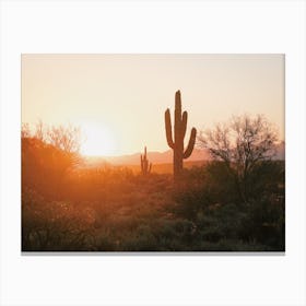 Warm Desert Sunset Canvas Print