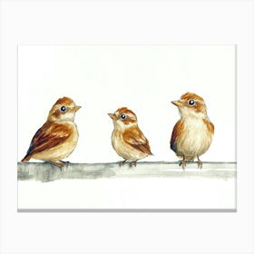 Birds On A Branch Canvas Print