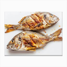 Two Grilled Fish Canvas Print