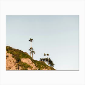 Palm Trees and Cliffs in California Canvas Print