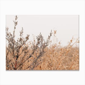 Autumn Wheat Field Canvas Print