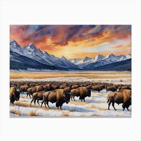 Bison Herd Snow-Kissed Pines and Silent Meadows Canvas Print