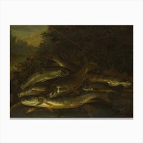 Vintage Painting Group Of Fish Canvas Print