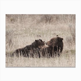 Mama Brown Bear Canvas Print