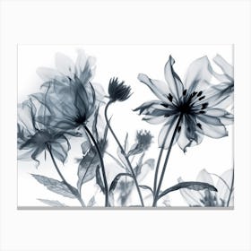 Silhouette Black And White Flowers 1 Canvas Print