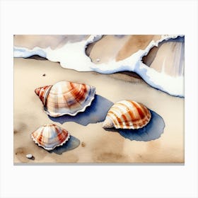 Seashells on the beach, watercolor painting 5 Canvas Print